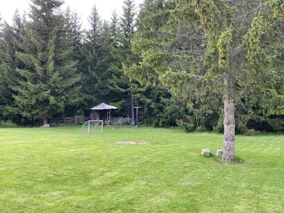 a tree in the middle of a field with a playground at Апартамент в MountainLake in Smolyan