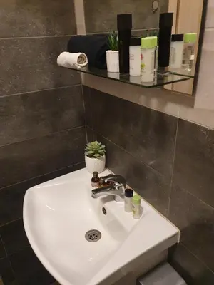 a bathroom sink with a plant on top of it at Nights apartment in Sofia