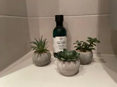 a bottle of wine and two potted plants on a counter at Lovely 2-bedroom serviced apartment with SPA in Bansko