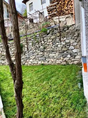 a stone wall next to a yard with a tree at Дом Бакалски-Кмета in Narechenski Bani