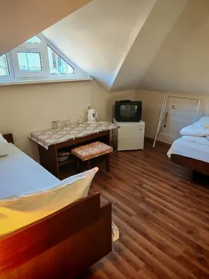 a bedroom with two beds and a desk and a tv at Дом Бакалски-Кмета in Narechenski Bani
