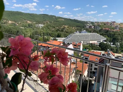 a view of a city from a balcony with pink flowers at Hotel Astra in Sandanski