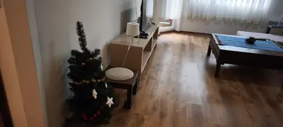 a living room with a christmas tree and a piano at Apartment Detelina Residence in Bansko