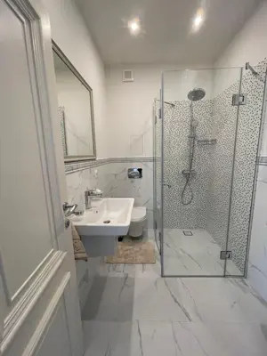 a bathroom with a shower and a sink and a toilet at FELIX KANITZ Apartments - in the heart of Kapana district in Plovdiv