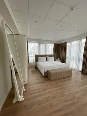 a large bedroom with a bed and a mirror at FELIX KANITZ Apartments - in the heart of Kapana district in Plovdiv