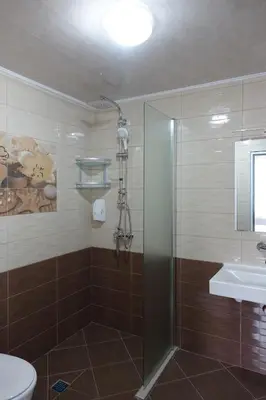 a bathroom with a shower and a toilet and a sink at Борник Хил / Bornik Hill in Devin