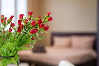 a vase filled with red flowers in a living room at Funky apartment in Studentski Grad in Sofia