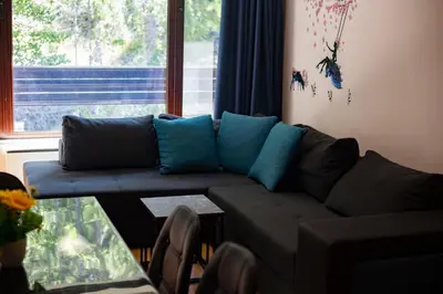 a living room with a couch and a window at Forest Dream Apartment - Elit Pamporovo in Pamporovo