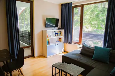 a living room with a couch and two windows at Forest Dream Apartment - Elit Pamporovo in Pamporovo