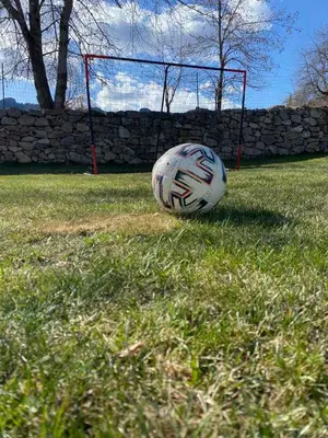 a soccer ball sitting in the grass next to a goal at Cassiopea Villas in Pamporovo
