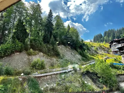 a train is traveling down a hill with trees at Christina Apartment in Laplandia in Pamporovo