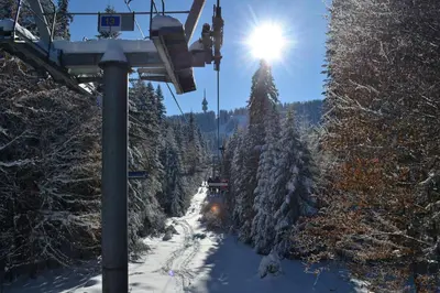 a ski lift going down a snow covered slope with trees at Christina Apartment in Laplandia in Pamporovo
