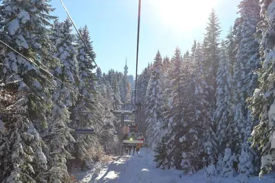 a ski lift going through a snow covered forest at Christina Apartment in Laplandia in Pamporovo