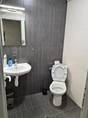 a bathroom with a toilet and a sink at Студиа Студенец in Smolyan