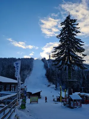a snow covered ski slope with a christmas tree at Студиа Студенец in Smolyan