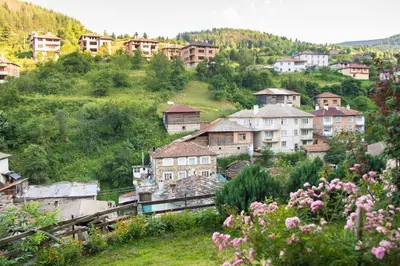 a village on a hill with houses and flowers at Villa Zaburdo in Zabŭrdo