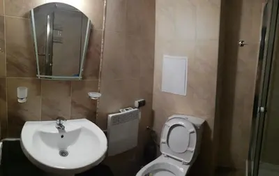 a bathroom with a sink and a toilet and a mirror at Dobi's Apartment Elit47 at Elit Pamporovo in Pamporovo