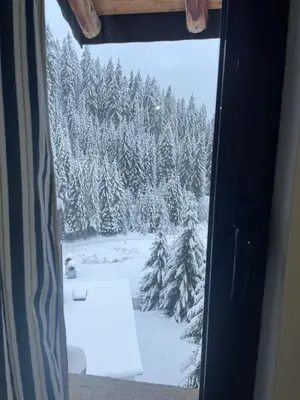 a view of a snow covered forest from a window at Stoykite Escape House in Stoykite