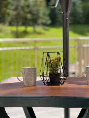 a table with two coffee cups and a plant on it at Flora Hotel Apartment 103 in Borovets