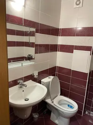 a bathroom with a toilet and a sink at Гранд Манастира , Пампорово in Pamporovo