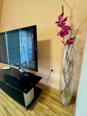 a vase with flowers in it next to a tv at Venis House in Plovdiv