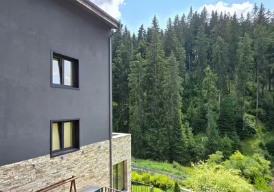 a house with a view of a forest at GORA - Вила Villa for 22 Guests, Пампорово, Rhodope Mountains in Progled
