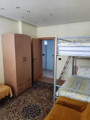 a bedroom with a bunk bed and a closet at Rila Apartment in Samokov
