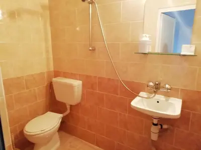 a bathroom with a toilet and a sink at ХАН КОСТИНА - HAN KOSTINA in Ribarica