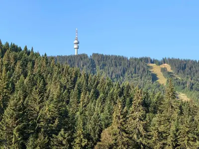 a cross on top of a hill with trees at Тайната квартира - The Secret apartment in Pamporovo