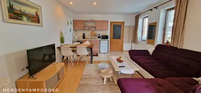 a living room with a couch and a table at NordenPamporovo in Pamporovo