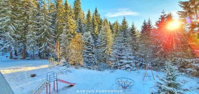 a snowy area with a playground in front of trees at NordenPamporovo in Pamporovo