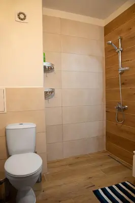 a bathroom with a toilet and a shower at Bansko Ski Apartment in Bansko