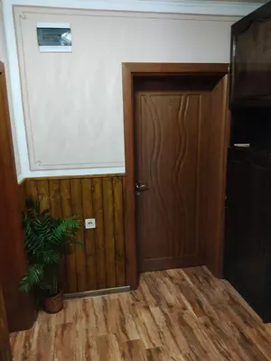 a hallway with a wooden door and a plant at Тороманова къща in Koprivshtitsa