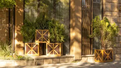 three potted trees sitting in front of a building at HIDDEN BANK: Digger's Dream in Plovdiv