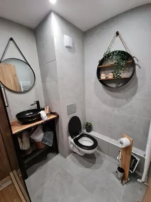a bathroom with a toilet and a sink and a mirror at Mountain Paradise in Aparthotel Borovets Gardens in Borovets