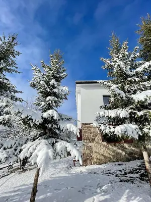 a house in the snow with snow covered trees at Kassandrov Guest House Ravnogor/ Касандрова къща Равногор in Yasă-Koriya