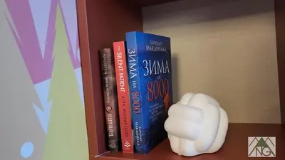 a book shelf with books and a white statue at Pinewood ANG luxurious apartment A43, Borovets Gardens in Borovets