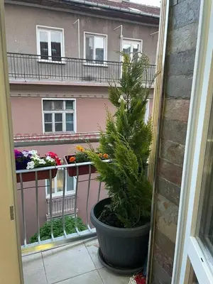 a plant in a pot on a balcony with a building at Top center Art deluxe apartment near to Aleksander Nevsky cathedral in Sofia