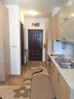a kitchen with a sink and a black door at Studio Detelina Residence in Bansko