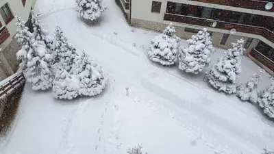 an aerial view of a snow covered street with trees at Studio Detelina Residence in Bansko