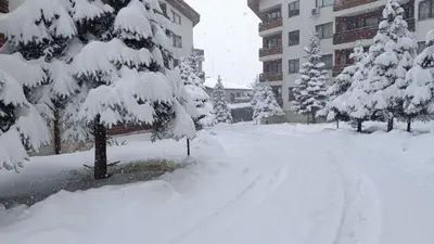 a snow covered street with trees and a building at Studio Detelina Residence in Bansko