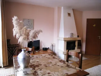 a living room with a vase on a table with a fireplace at Solar nest with fireplace and mountain view - near ski lift and center in Bansko