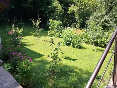 a garden with a small tree in the grass at Еко вила Дивна - Тетевенски балкан in Divchovoto