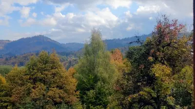 a forest of trees with mountains in the background at Neviasta Apartment in Smolyan