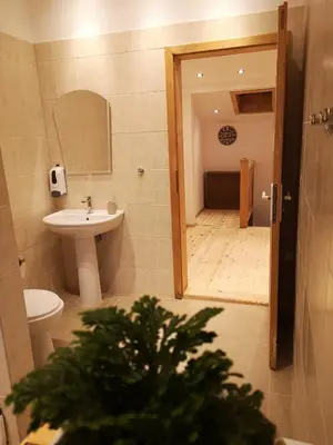 a bathroom with a sink and a toilet and a mirror at Algarte Guest House in Madzhare