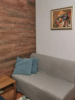 a couch in a living room with a wooden wall at Cedar 42 in Bansko
