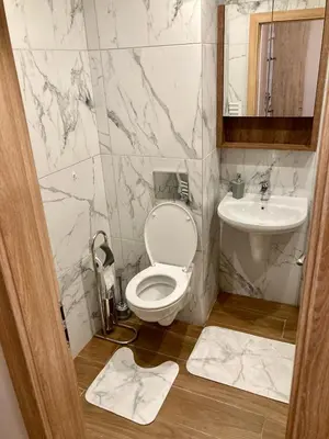 a bathroom with a toilet and a sink at Cactus Apartment in Borovets