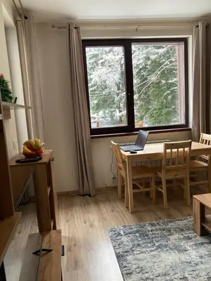 a living room with a table with a laptop on it at Cactus Apartment in Borovets