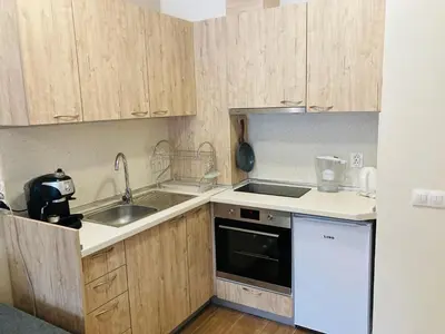 a kitchen with wooden cabinets and a sink and a dishwasher at Cactus Apartment in Borovets