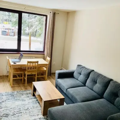 Cactus Apartment